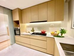 Cavenagh House (D9), Apartment #573373891
